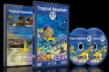 Tropical Aquarium XXL