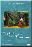 Tropical_Freshwater_Aquariums_Fishtanks_with_Music_and_Nature_Sounds