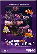 Tropical_Reef_Aquarium_Filmed_in_1080p