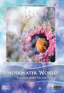 underwater_world_with_small_creatures_filmed_macro_cinema_lenses_and_dreamy_reef_scenery