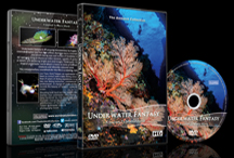 underwater_fantasy_dvd_-_a_journey_to_macro_world