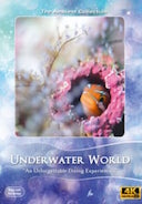 4k-underwater-world-with-small-creatures-filmed-macro-cinema