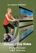 virtual_cycle_rides_180_degree_vision_coastal_pine_forest