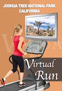 virtual_run_joshua_tree_national_park_california_usa
