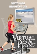virtual_walk_white_sands_new_mexico_usa