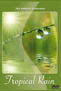 tropical-rain-with-rain-and-thunder-sounds