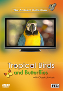 tropical_birds_and_butterflies_with_classical_music_from_the masters