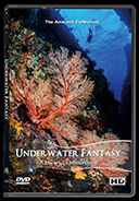 underwater_fantasy_dvd_-_a_journey_to_macro_world