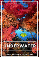 4k-hd-underwater-scenery-from-all-over-the-world-with-sounds-of-the-waves-or-music