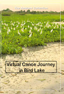 4k_virtual_canoe_journey_in_bird_lake