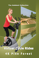 4_k_virtual_cycle_rides_pine_forest_with_bird_and_nature_sounds