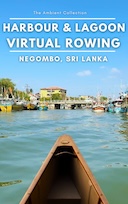 virtual_rowing_negombo_harbour_and_lagoon_sri_lanka