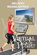 virtual_walk_shell_beach_wulgada_australia
