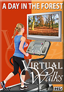 Virtual Walks - A Day At The Forest