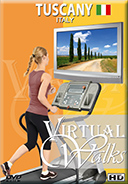 Virtual Walks for Indoor Fitness and Treadmill Exercises