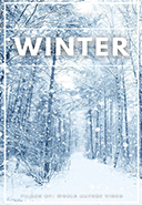 winter-scenery-from-all-over-the-world-with-the-sound-of-nature-or-music